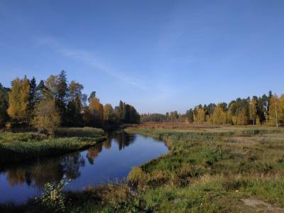 Петербуржец поделился кадрами октябрьских пейзажей у реки Оредеж