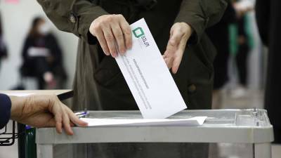 МВД Грузии сообщило о предотвращении сотен инцидентов на выборах