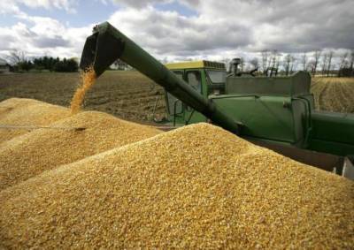 Иран и Россия упрощают процедуры торговли зерном
