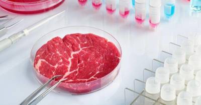 Отказ от красного мяса вреден или нет: плюсы и минусы такого решения