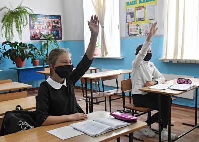 Минпросвещения: массового закрытия школ из-за коронавируса не будет