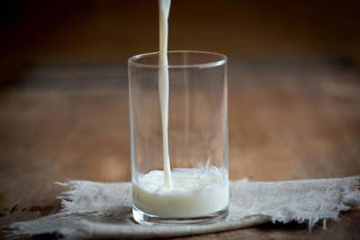 Какое молоко бывает в природе? Пять удивительных фактов