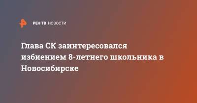 Глава СК заинтересовался избиением 8-летнего школьника в Новосибирске