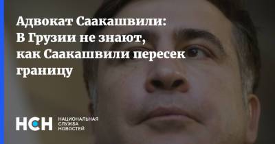Адвокат Саакашвили: В Грузии не знают, как Саакашвили пересек границу