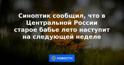 Синоптик сообщил, что в Центральной России старое бабье лето наступит на следующей неделе