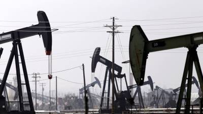 Разлив нефти у берегов Калифорнии нанес необратимый урон окружающей среде
