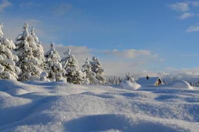 Синоптики центра погоды «Фобос» назвали регионы, в которых ожидается аномально снежная зима