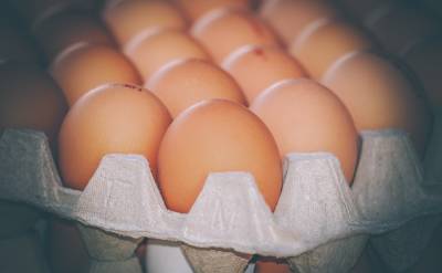 В ЕС запретят продажу яиц куриц, которые содержатся в клетках и мира