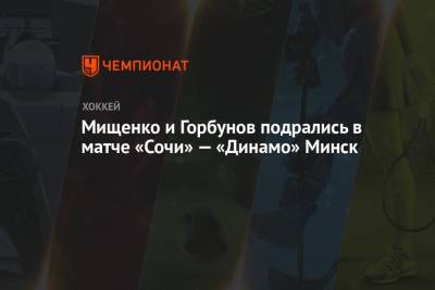 Мищенко и Горбунов подрались в матче «Сочи» — «Динамо» Минск
