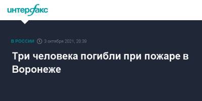 Три человека погибли при пожаре в Воронеже