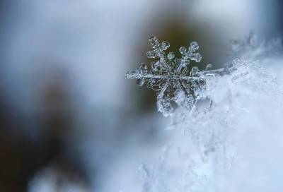 Синоптики центра "Фобос" предупредили об аномально снежной зиме