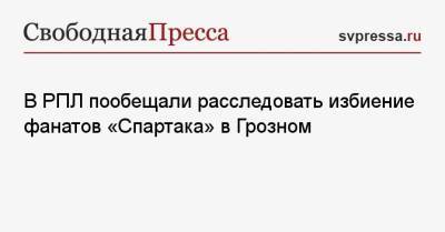 В РПЛ пообещали расследовать избиение фанатов «Спартака» в Грозном