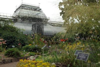 Петербургский ботанический сад переходит на зимний режим работы