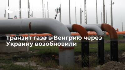 Венгерский оператор ГТС заявил о возобновлении транзита газа через Украину