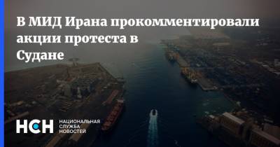 Саид Хатибзаде - В МИД Ирана прокомментировали акции протеста в Судане - nsn.fm - Судан - Иран