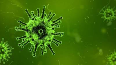 Разведка США: коронавирус не создавали как биологическое оружие