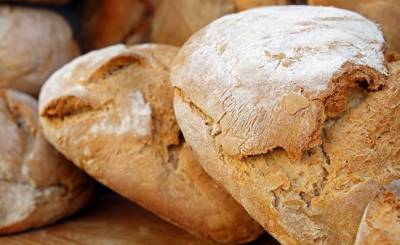 Actualno (Болгария): почему важно регулярно есть хлеб? - inosmi.ru - Болгария