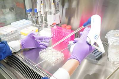 Разведка США отвергла версию о создании коронавируса как биологического оружия