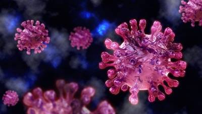 Разведка США оценила версию о появлении коронавируса как биологического оружия - 5-tv.ru - Китай - США
