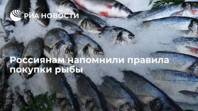 Эксперт Строева посоветовала россиянам покупать рыбу в сертифицированном магазине