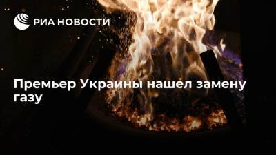 Премьер Украины Шмыгаль назвал биотопливо альтернативой газу