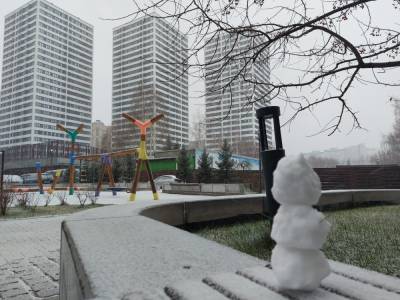 Первый снегопад прошёл в Новосибирске 30 октября