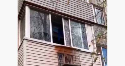 Балкон для собаки в московской многоэтажке попал на видео