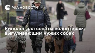 Кинолог Голубев дал советы волонтерам, выгуливающим чужих собак, пока хозяева на карантине