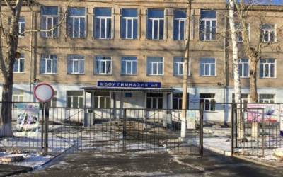 Полиция раскрыла подробности избиения школьницы в гимназии № 8 Новосибирска