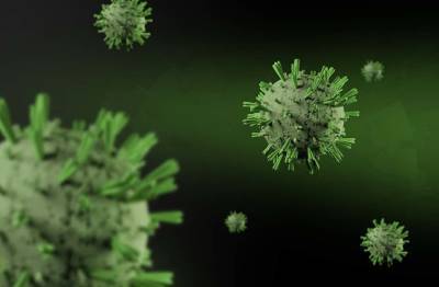 Ученые определили специфику иммунного ответа на коронавирус и мира