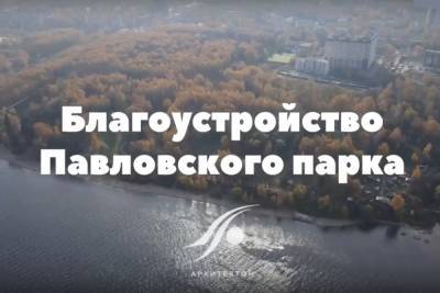Павловскую рощу в Ярославле обещают сделать современным, удобным и безопасным местом отдыха