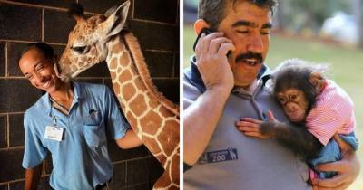 16 умилительных снимков о работе смотрителей зоопарка, которая не обходится без трепетных и радостных моментов
