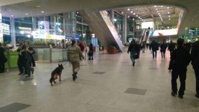 Правоохранители задержали мужчину в аэропорту Домодедово за слова о готовящемся взрыве
