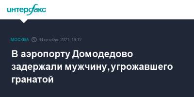 В аэропорту Домодедово задержали мужчину, угрожавшего гранатой