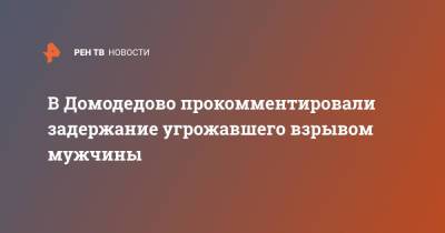 В Домодедово прокомментировали задержание угрожавшего взрывом мужчины - ren.tv