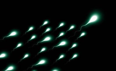 La Repubblica (Италия): сперматозоиды не любят жары