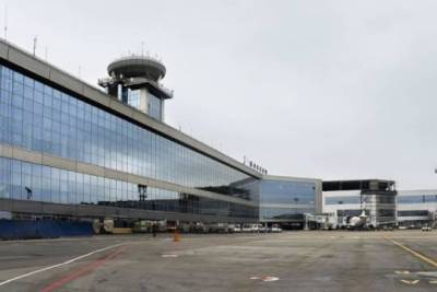 В аэропорту Домодедово из-за «бомбы» задержали мужчину