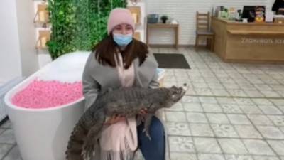Фото с крокодилом за подарок: тюменцы возмущены акцией косметического магазина
