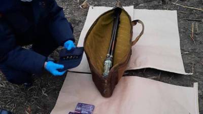 Правоохранители нашли гильзы недалеко от места задержания депутата Рашкина с тушей лося