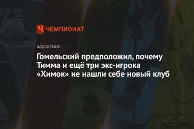 Гомельский предположил, почему Тимма и ещё три экс-игрока «Химок» не нашли себе новый клуб