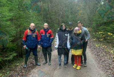 Во Всеволожском районе компанию молодых людей из леса пришлось выводить спасателям