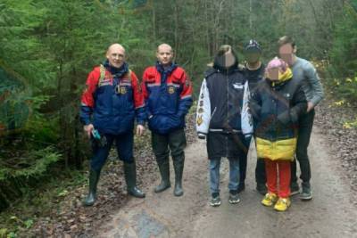 Группа молодых людей потерялась в лесу во Всеволожском районе