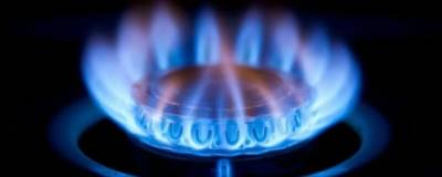 RuBaltic: Украина и Польша хотят снизить цены на российский газ