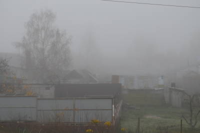 Последний день октября в Воронежской области начнется с тумана