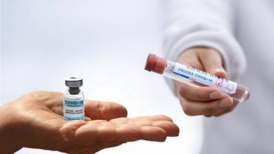 Гинцбург назвал различия в законодательствах причиной неодобрения вакцин из России в ЕС