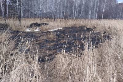 Пожар на площади 1500 квадратных метров устроили неизвестные под Красноярском