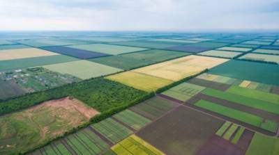 14 процентов владельцев земли в Украине до сих пор не знают про работу рынка земли – опрос