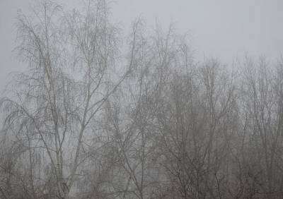 Рязанцев предупредили об утреннем тумане