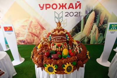 В Краснодарском крае аграрии установили новый рекорд по сбору урожая