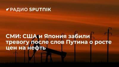 Bloomberg: США и Японию встревожили слова президента РФ Путина о нефти по сто долларов за баррель